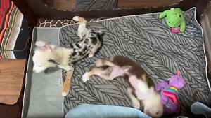 85K views · 5.7K reactions | The top three things you need when...