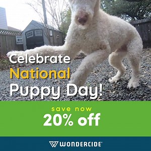 20% off for 🐶 National Puppy Day 🐶 means extra cuddles, extra kisses, and anything your doggo wants on Wondercide.com. Proven to work and plant powered ⭐️ 🌱. | Wondercide