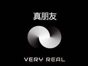 Very Real 创立初衷与愿景 20250110 No.90