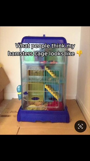 Luxury😭 #hamstwr#cage#fyp#viral#hamster#pwts#animals#viral#fyp#hamatercage#cage#cagetour