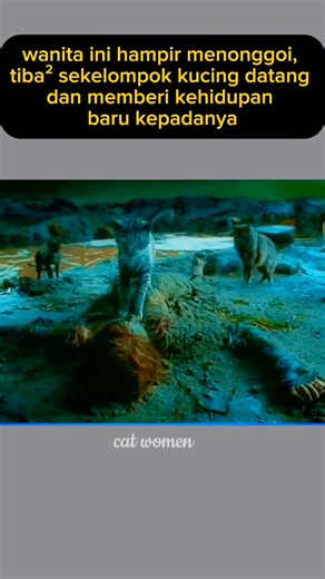 This woman almost died, suddenly a group of mysterious cats appeared and changed her life. #trending #viral #fyp #film #movietime pengikut MovieWeb MOVIECLIPS Movie Time Hobi Nonton Horror Movies | Oslen Sijabat