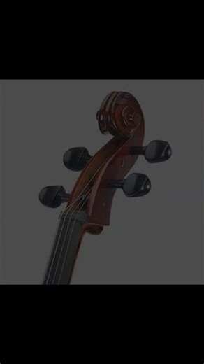 Cecilio CCO-500 Overview