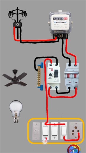 Single Phase Distribution Box Wiring Diagram |#viral #electric #electricbord #shortvideo #reels