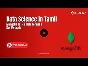 MongoDB Basics Explained | Data Format & Key Methods | Skillfloor