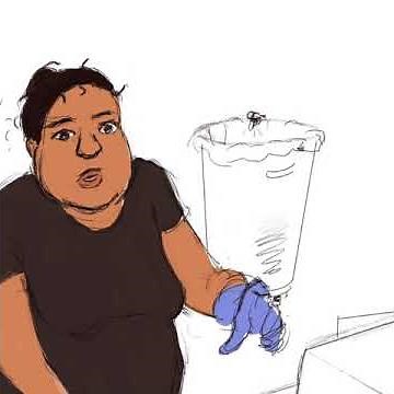 Gauntlet Growth Muscle Growth Animation