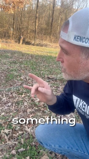 How to set up electric fence on the perimeter of my farm #farmlife #farming #livestock