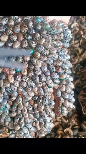 help me please#ticks #ticks #scary #head #lice | Ticks London