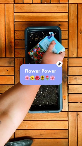 mylittlebalconygarden on TikTok