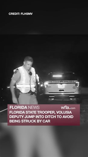 FLHSMV is reminding drivers to move over or slow down for emergency vehicles after a near-miss in Volusia County. https://www.wfla.com/news/florida/video-florida-state-trooper-deputy-jump-into-ditch-to-avoid-being-struck-by-car/ #florida #news #fhp #highwaypatrol #wfla | WFLA News Channel 8