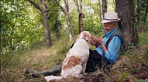 The Truffle Hunters - Official Trailer