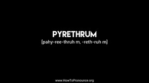 How to Pronounce "pyrethrum"