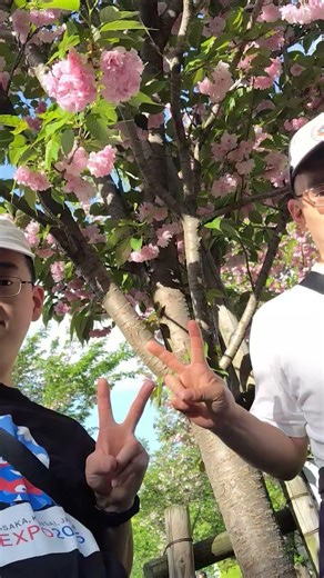 大阪城公園へ行きました