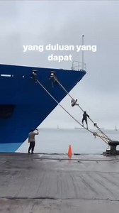 Looks like the rats just got promoted to crew members! 🤪🤪🤪🤪🤪 Any guesses on their first assignment? #satriaseamanofficial | Kabaro Seaman PH