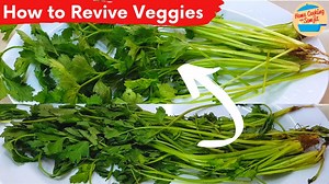 How to Revive Wilted Vegetables For Cooking Sometimes, the vegetables kept may have wilted after prolonged storage. We may be able to revive it with only water. Hope this tip is useful for you! Disclaimer: Remove the bad & yellowing parts of the vegetables. This tip does not work on already rotten parts. After reviving the vegetable, make sure to use it within the day as storing it again will cause it to rot faster. How to Revive Wilted Vegetables Ingredients: wilted parsley water, enough to sub