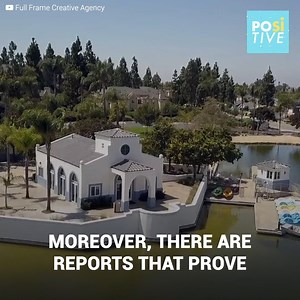 425K views · 507 reactions | A day like any other where this owner...