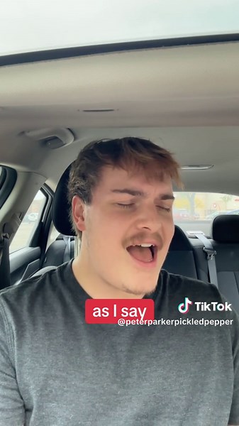 67 - A Brainrot Parody Cover of What I've Done