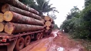 48K views · 564 reactions | Something went wrong here | Forestry Equipment in Action | Facebook