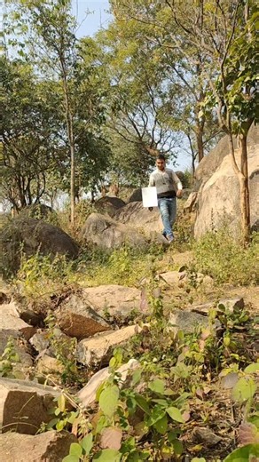 Mukesh P Tiwari on Instagram: "I painted with earth, leaves, and the quiet voice of the forest. 🍃🎨 Nature. Silence. Texture. Memory. Life, Process, Presence, and Connection. . . . #NatureArt #CreativeProcess #SoulfulArt"