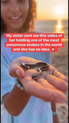 She’s holding a poisonous snake and had no idea. 🤷‍♂️ | Marcus M