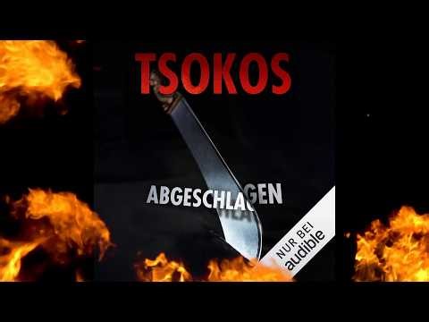 Abgeschlagen 📚 Ein FESSELNDER PSYCHOTHRILLER voller Abgründe 🎧 HÖRBUCH