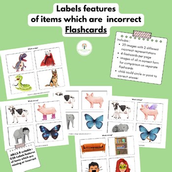 What is wrong? Identify incorrect features Flashcards (ABLLS-R aligned G28)