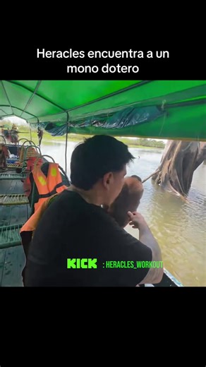 clips_heracles (@clips_heracles) - Mono dotero #streaming #kick #streamer #clips #clipviral #peru #kickclips #heracles #irl #viral #videoviral #random #humor #heracles @🕷️ʜᴇʀᴀᴄʟᴇꜱ🦙