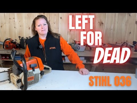 Abandoned And Left To Die | Stihl 036 Chainsaw