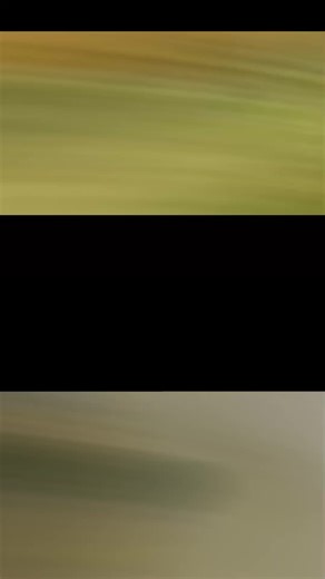 Benefits of cow। गौ मूत्र के लाभ। #shorts #short #shortsvideos #fbreels #reelsvideo #healthcare #homeremedies #Guruayurveda | Guru Ayurveda