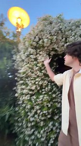 fixeye (@ifixeye)’s video of The 7 Wonders