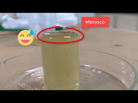 Exames Coproparasitológicos - Método de Willis-Mollay