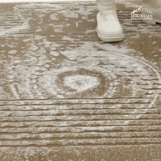 103K views · 1.5K reactions | Insect Infested Rug MAKEOVER... #satisfying #satisfyingvideos #oddlysatisfying #asmr #asmrcleaning #asmrbrushing #rugwashingasmr #carpet #carpetcleaning #rugwashing #rugscraping #restoration #calming #relaxing #sleepaid #reel #asmrvideo #dirtywater #asmrcleaning #carpetwash #reels #rugcleaning #carpetwashing #rugclean #cleaning #cleaningvideos #cleaningasmr #rugasmr #reelsinstagram #cleaningasmr | Mountain Rug Cleaning | Facebook