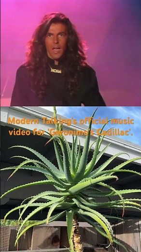 Modern Talking's official music video for 'Geronimo's Cadillac'.