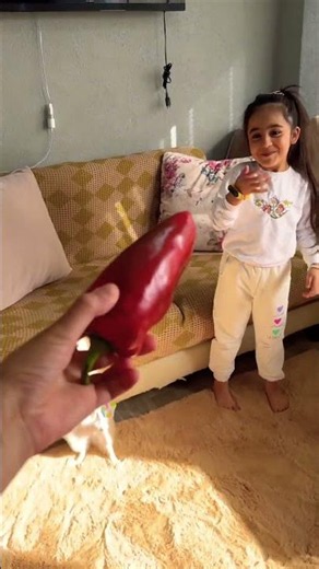 Angry dog ate a hot pepper and threw up!! #explore #shorts