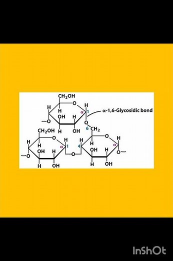 structure of glycogen