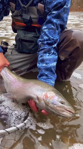 Winter Steelhead Fishing with KastKing Royale Legend Pro