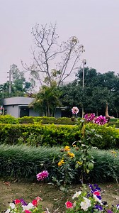 1.9K reactions · 15 shares | The sound of birds chirping is a symphony of nature, a reminder to appreciate the present moment. | SKS Inn | Facebook