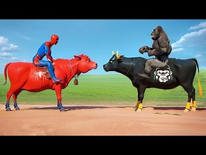 Spiderman Rides a Cow in a Funny Animal Adventure