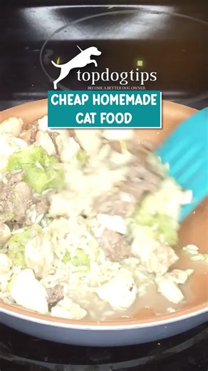 🐱💰 Healthy meals don’t have to cost a fortune! This cheap homemade cat food recipe is nutritious, simple, and purr-fect for pet parents on a budget. 🐾🍗💛 Your kitty will love it, and so will your wallet! 😺✨ 🍽️ Watch now grab the full recipe here: https://topdogtips.com/cheap-homemade-cat-food-recipe/ #HomemadeCatFood #BudgetFriendlyPetCare #HealthyCats #CatMomLife #CatDadLife #TopDogTips | Top Dog Tips