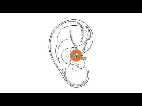 The Significance of Point Zero (2-minute intro)