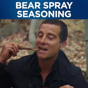 1.3M views · 5K reactions | Bear Grylls cooking tip #346: If your omelette needs a little extra kick, add a pinch of bear spray.  | Discovery Channel UK | Facebook