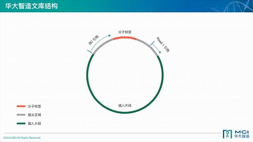第一期-华大智造 DNBSEQ™测序技术原理-华大智造
