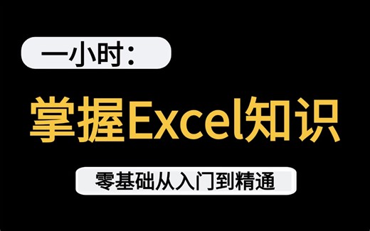 【B站强推一小时学会Excel教程】入门级完整excel系统课程，excel函数公式大全讲解 excel教程全套 小白从入门到精通 excel教程!