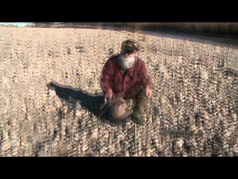 Gold Cube Stand Assembly