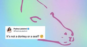 Viral Optical Illusion Claims Viewers Will See Either 'Fish' Or 'Mermaid,' Yet Everyone Sees 'Donkey' Or 'Seal'