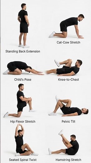 SITTING TOO MUCH? Fix Your Lower Back with These Quick Stretches
