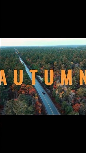 Scenic Fall Drive | Drone Shots #FallColors #RoadTrip #Autumn #CinematicNature #Travel #ForestDrive