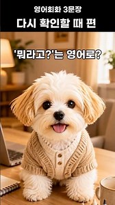 What does "Wait, what?" mean in American TV shows? 🐶 #EnglishConversation