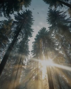 Satisfy their primal cravings with easy-to-serve, protein-rich raw recipes they’ll devour. | Primal Pet Foods