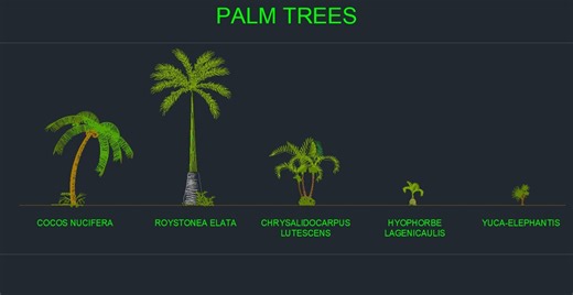 Palm Trees Landscape CAD Blocks | Architectural Autocad (DWG File) - Etsy