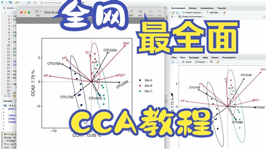 CCA系统课程